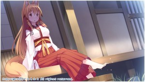 Tenkiame CG2